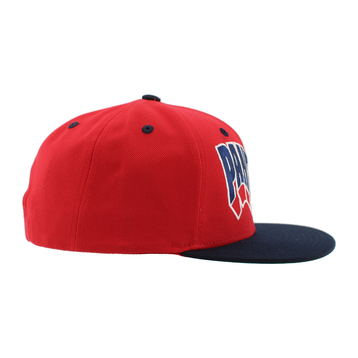 Florida Panthers Z11 Retro Flashback Cap