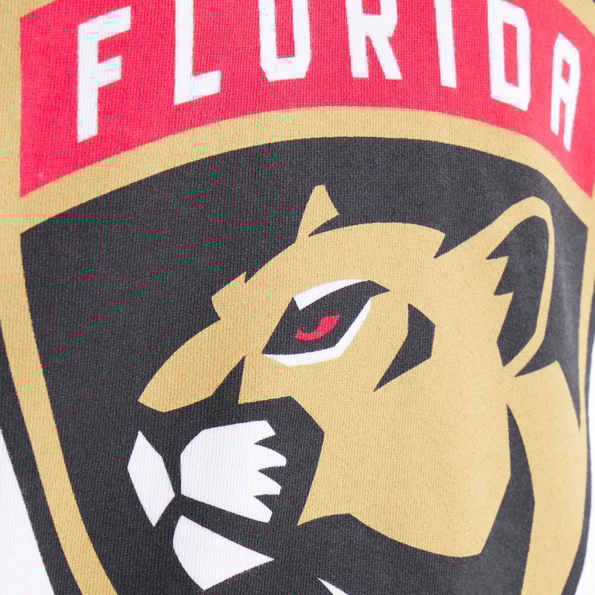 Florida Panthers x Todd Snyder Heavyweight Football Jersey
