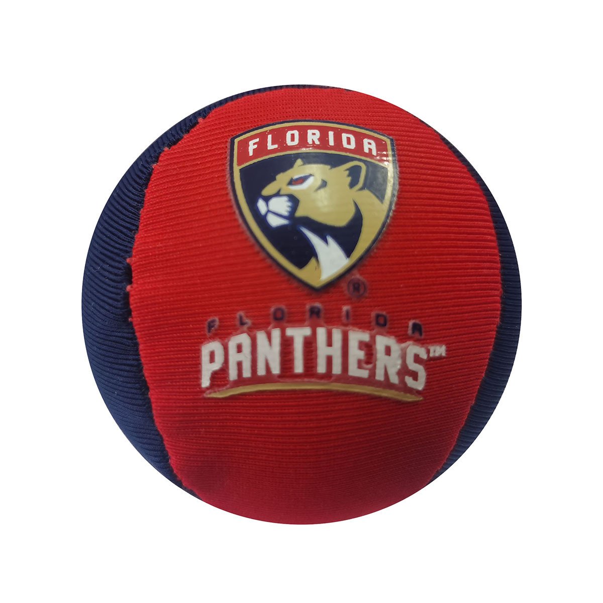Florida Panthers Water Squish Bounce Ball