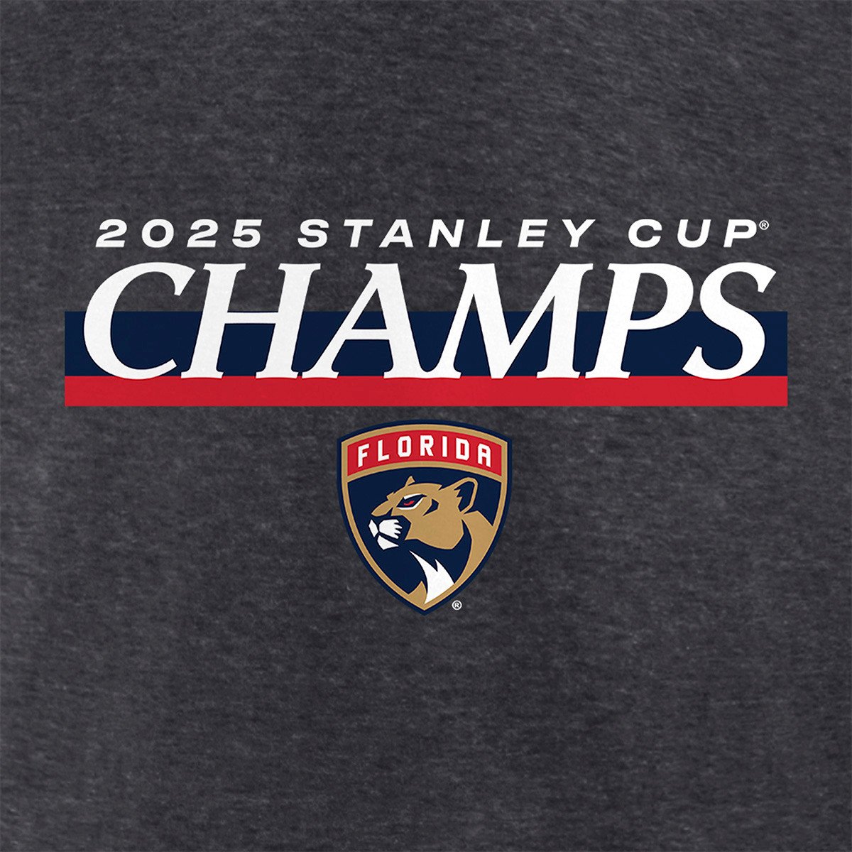 Florida Panthers 2025 Stanley Cup Champions Give and Go Roster T-Shirt