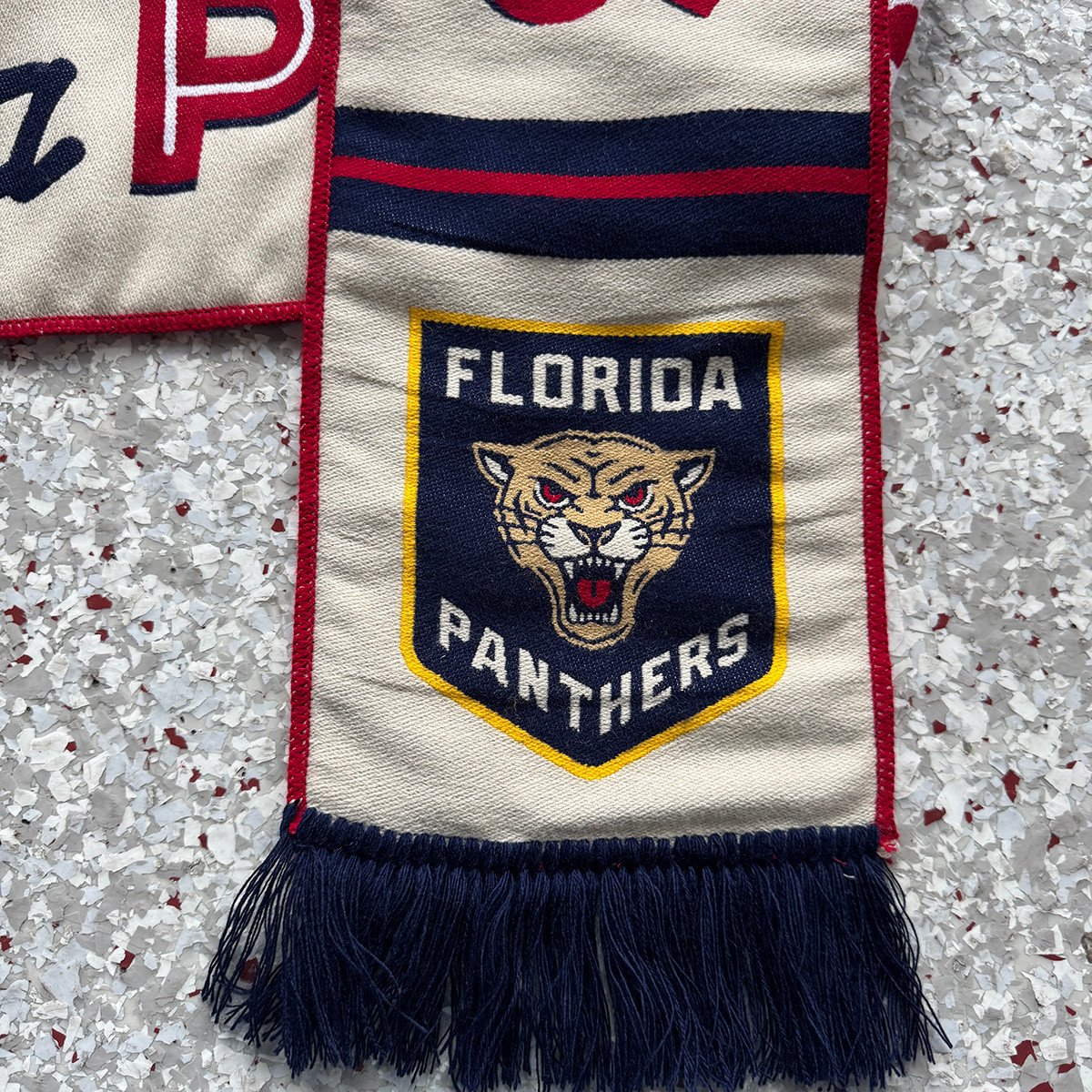 Florida Panthers 2026 NHL Winter Classic Custom Scarf