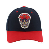 Florida Panthers Day of the Dead Competitor Cap