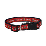 Florida Panthers Dog Collar