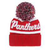 Florida Panthers Women's Spirited Knit Cap