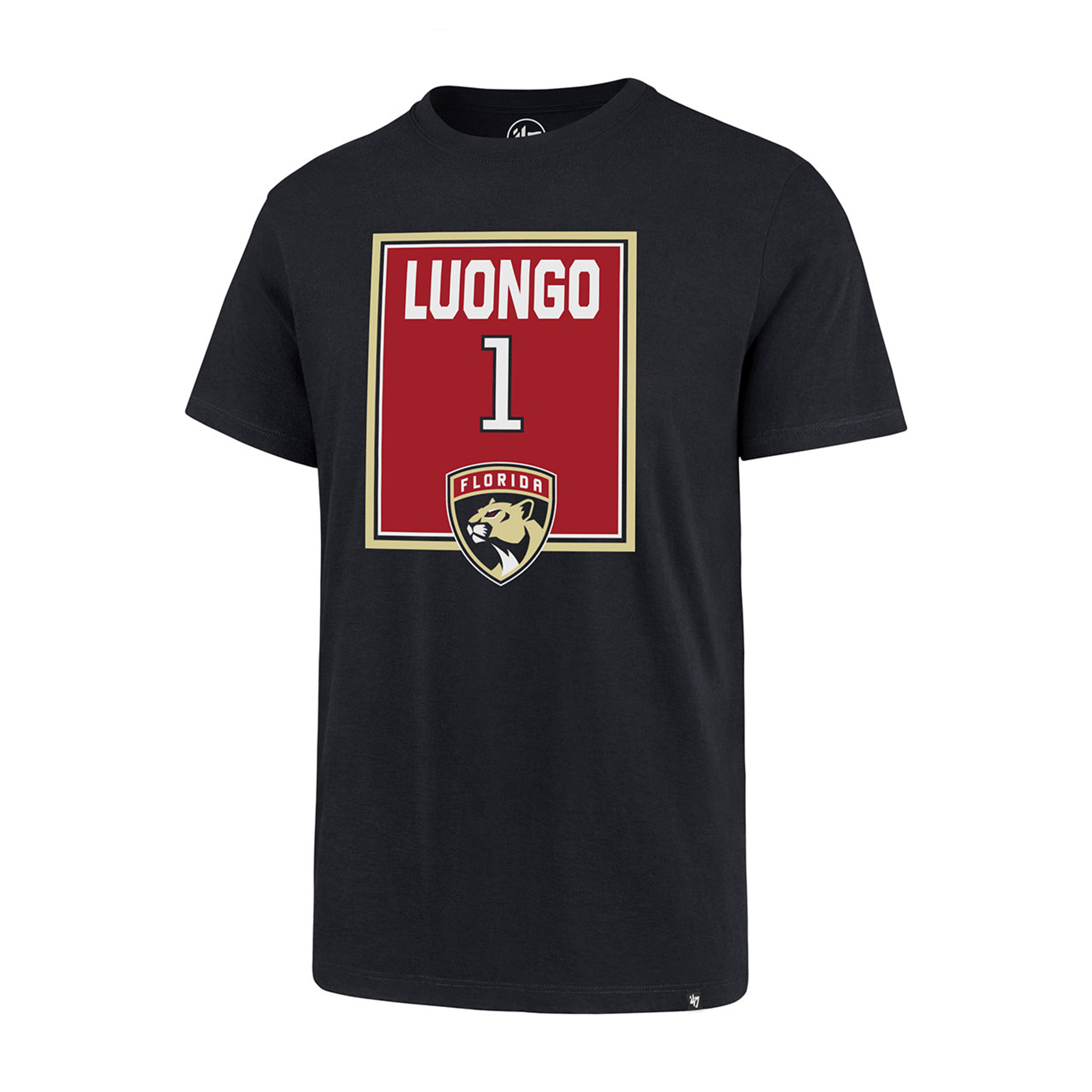 Roberto Luongo to have jersey retired by Florida Panthers