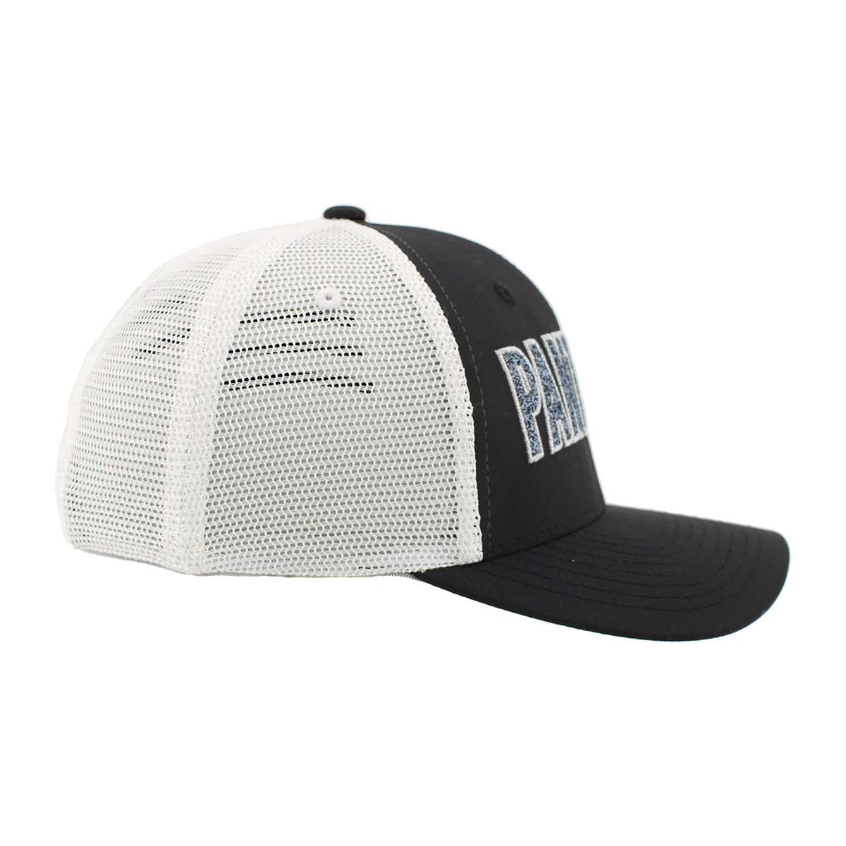 Florida Panthers Women's Curved Glitter Cap