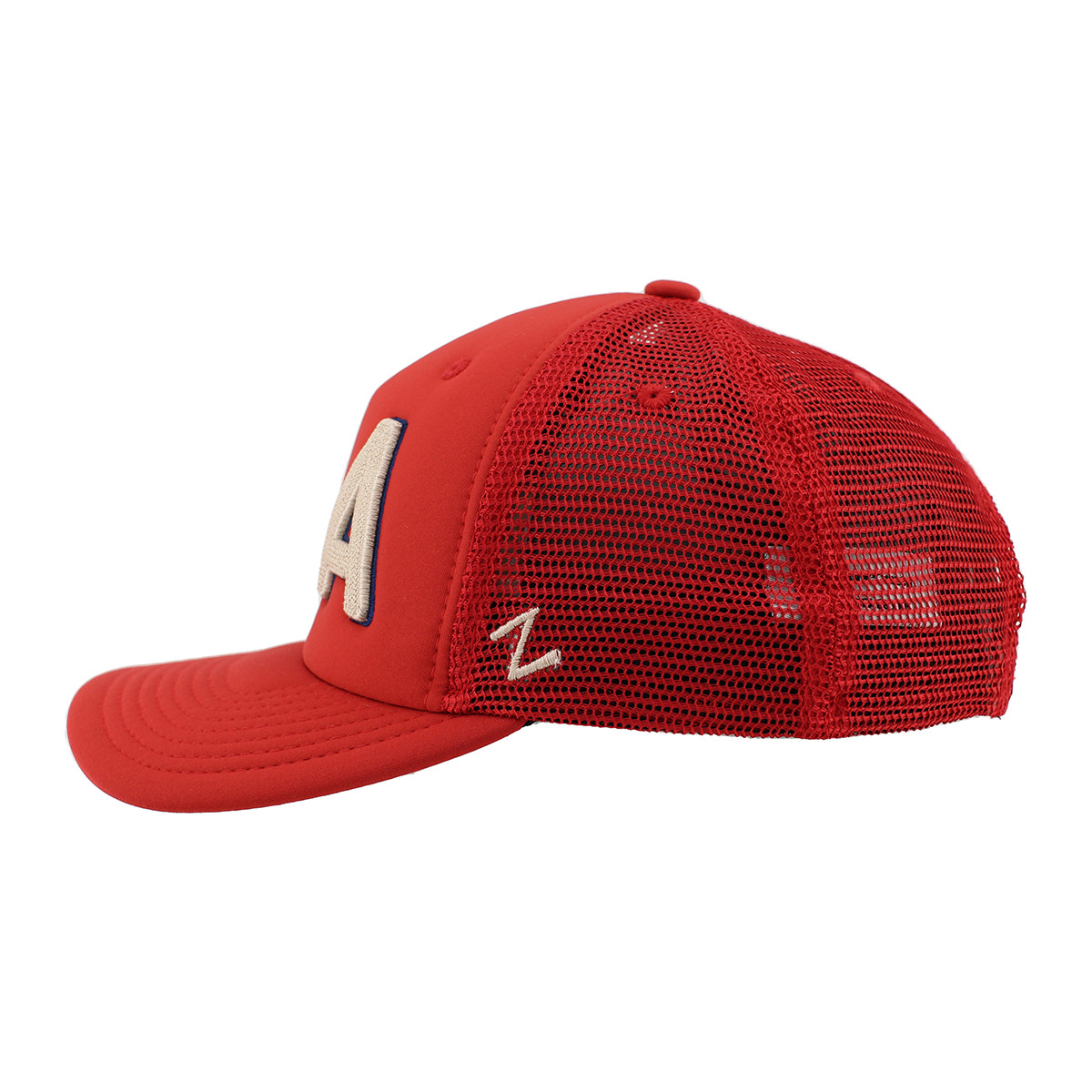 Florida Panthers FLA Revival Cap