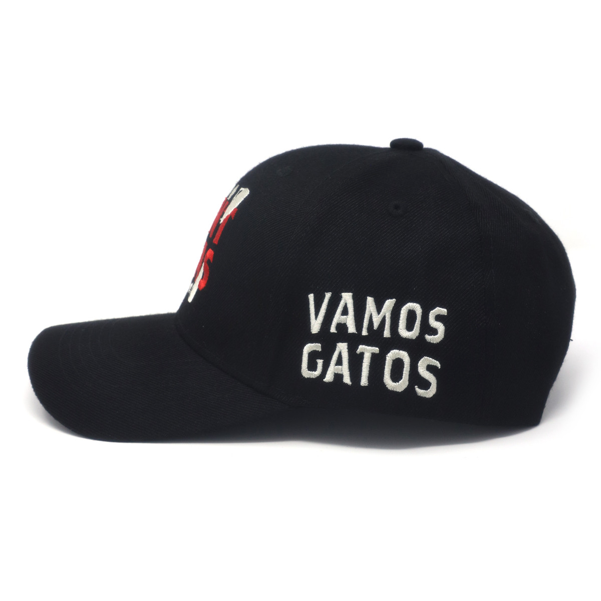 Florida Panthers 2025 Vamos Gatos Panteras Cap