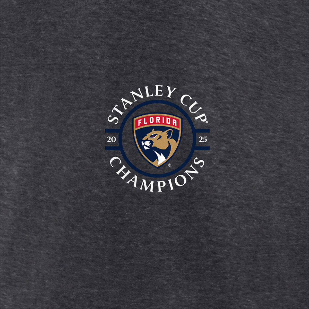 Florida Panthers 2025 Stanley Cup Champions Schedule T-Shirt