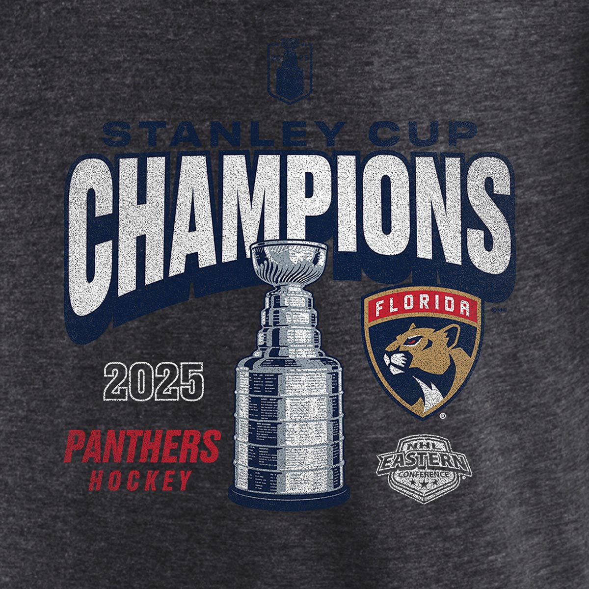 Florida Panthers 2025 Stanley Cup Champions Throwback T-Shirt