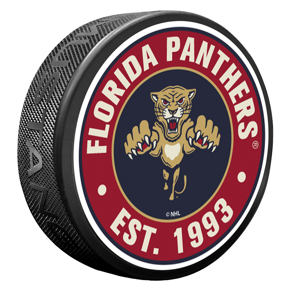 Florida Panthers 2026 NHL Winter Classic Established Puck