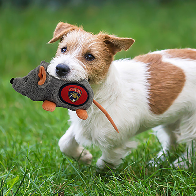 Florida Panthers Plush Rat Dog Toy