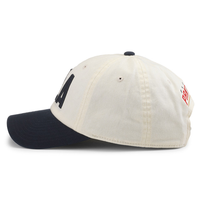 Florida Panthers FLA Chainstitch Navy Blueline Cap