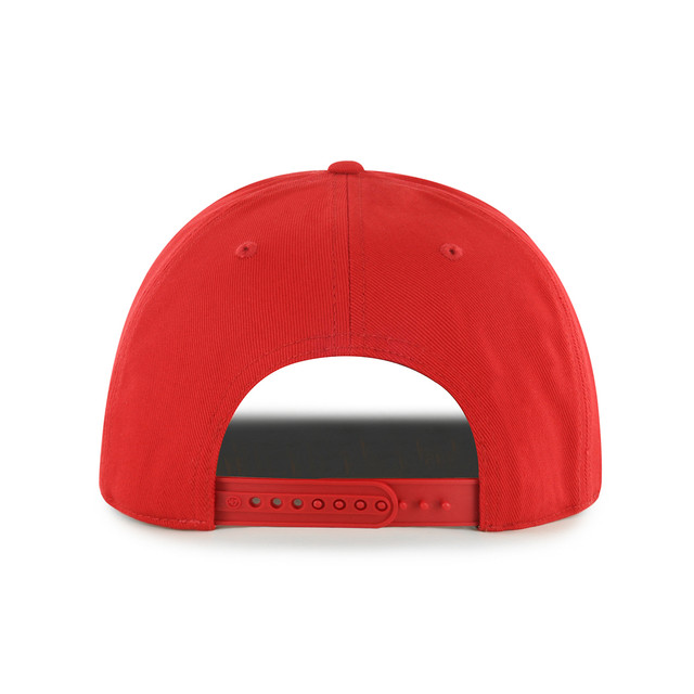 Florida Panthers Golden Diamond Hitch Cap