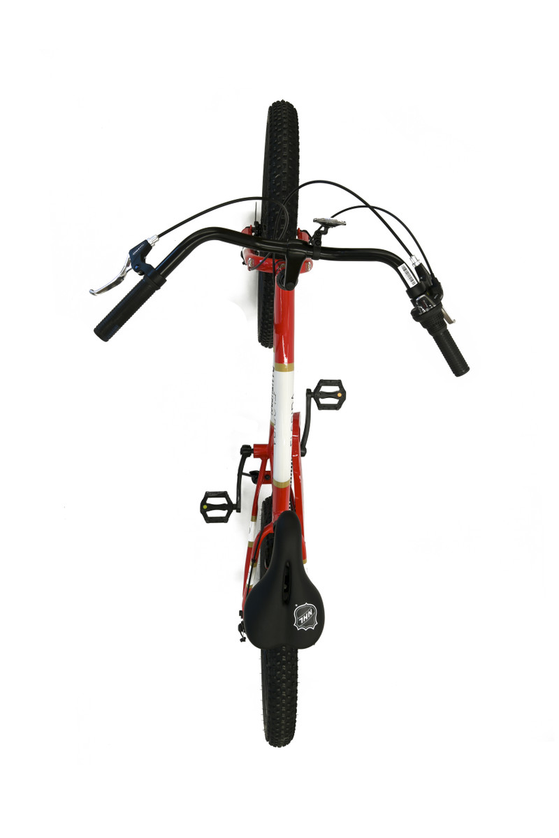 Florida Panthers Bike 7-Speed Big Cruiser 26"