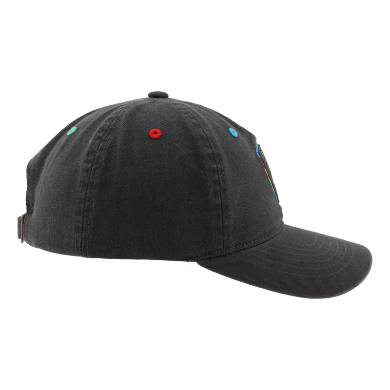 Florida Panthers Scholarship Pride Cap