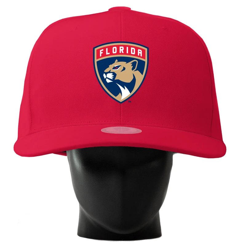 Florida Panthers Oversized Noggin Boss Cap