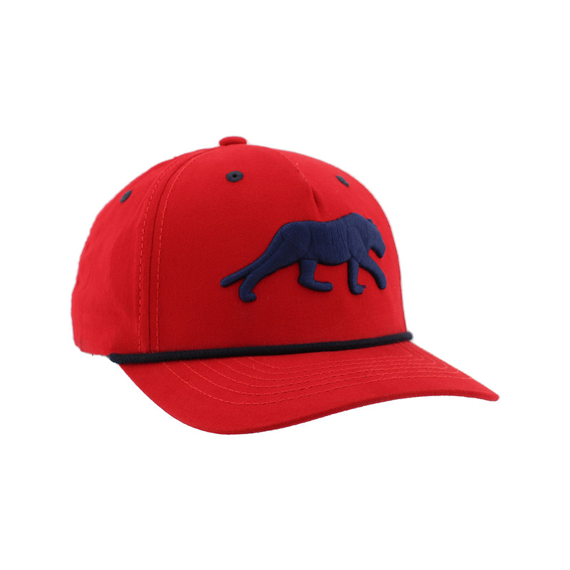 Florida Panthers Memento 3D Panther Cap