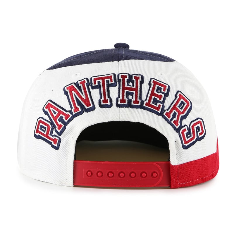 Florida Panthers Decline Cap