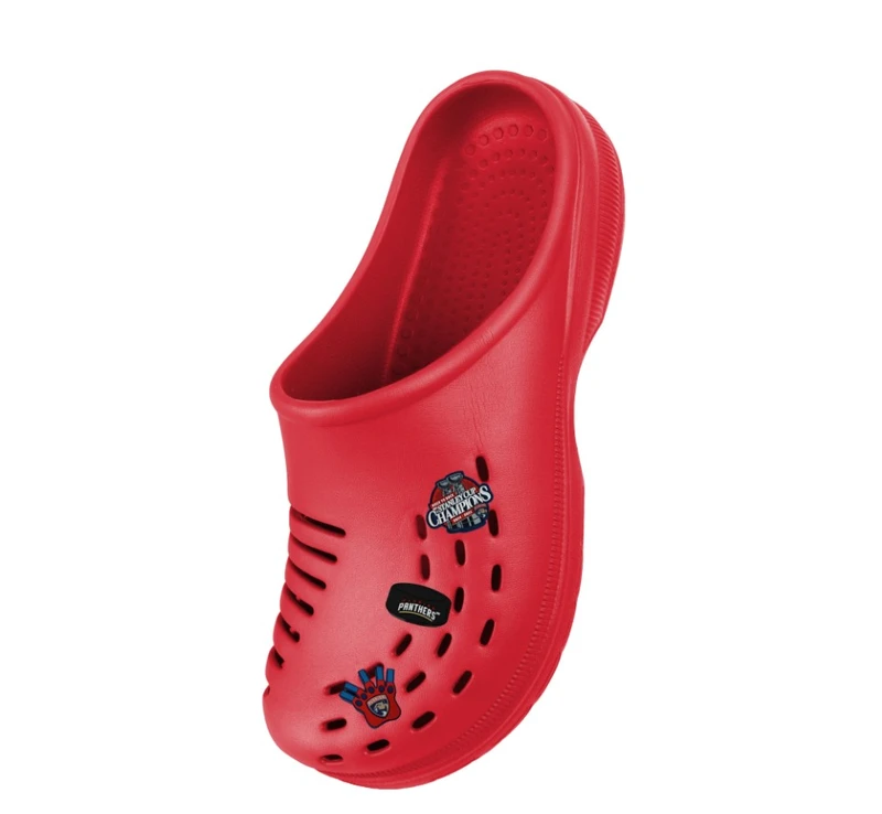 Florida Panthers Clog Charm 3 Pack