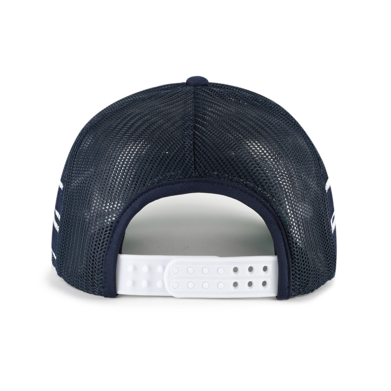 Florida Panthers Golden Age Hitch Cap