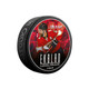 Florida Panthers Ekblad Puck