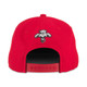Florida Panthers Red Florida State Stafford Cap
