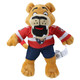 Florida Panthers Plush 14" Stanley