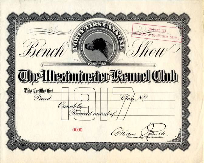 Clearance akc foundation stock service New Arrivals