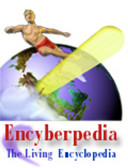 cyberpedia.com Domain Name - Sold