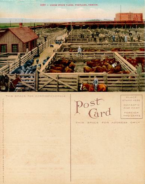 Postcard of the Union Stock Yards, Portland, Oregon