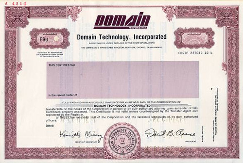 Domain Technology, Incorporated - Delaware