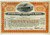 International Mercantile Marine 1931 -Titanic Ship - Issued to Vicent Astor, son of John Jacob Astor