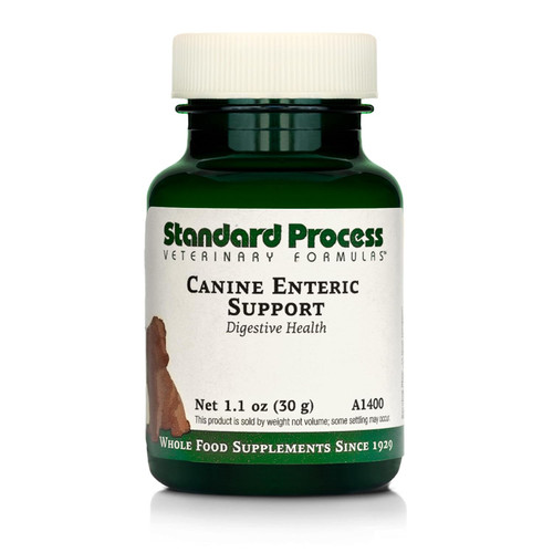 Standard Process Canine Enteric Support - Digestive System Support for Dogs - Nutritional Dog Supplement for Gut Health Support - Canine Supplement Formula to Aid Healthy Digestion - 30 g