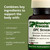 Standard Process Ginkgo Synergy - Whole Food Mental Clarity, Brain Health Supplement, Brain Support and Blood Flow with Grapeseed Extract, Buckwheat, Gotu Kola, Ginkgo Biloba - 40 Capsules