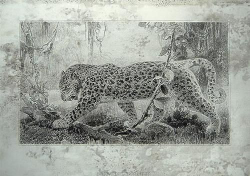 Prowling Lion