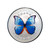 China 2021 Butterfly Colorful Medal Series VI - Morpho Didius - From Chen Baocai Butterfly Museum