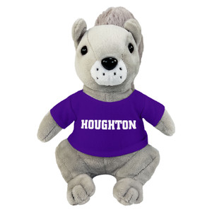gray squirrel with purple Houghton t-shirt