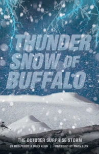 Thunder Snow of Buffalo book image with rooftop and snow. Author Don Purdy.