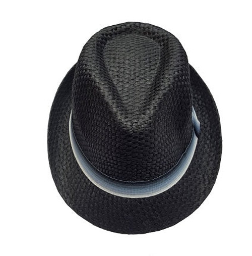 Mens Fedora style hat