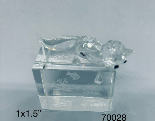 Crystal-Cat. Curious cat/fish