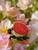 Enamel Metal Lady bug