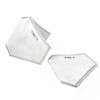 Molded PM2.5 Carbon Replacement Filters | 10 Pack
