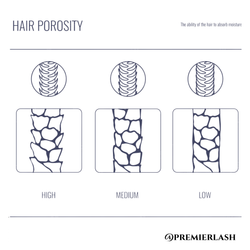 Pro Tip:  Understanding The 3 Types of Lash Porosity