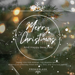 Happy Holidays!  Thank you for making the season bright. 