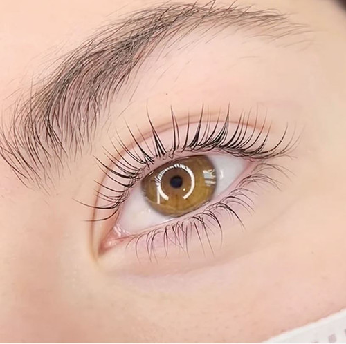 DLUX Illumination Korean Lash Lift Lotion | 15 Clients