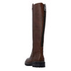Chestnut