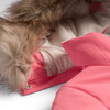 Pink Lem