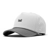 White/Grey