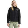 TNF Black